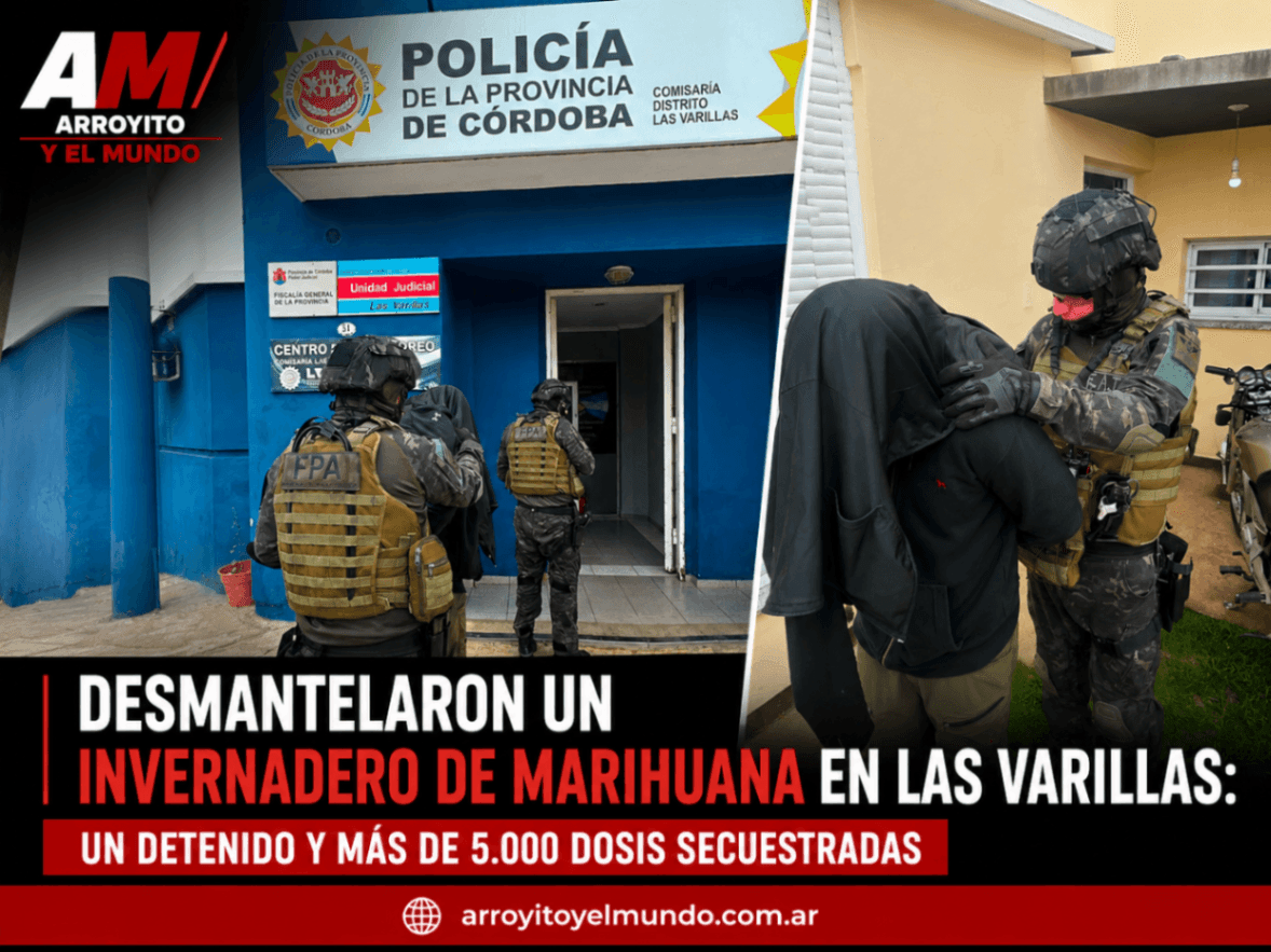 Desmantelaron un invernadero de marihuana en Las Varillas