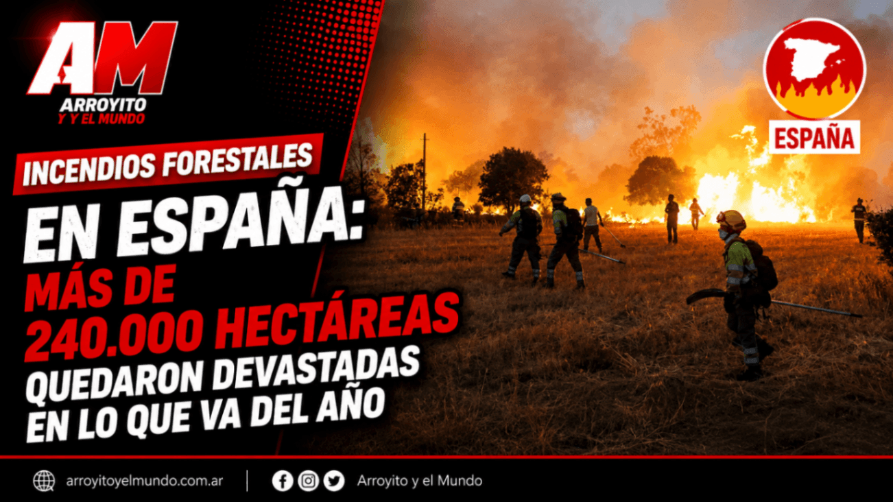 Incendios forestales en España: más de 240.000 hectáreas quedaron devastadas en lo que va del año